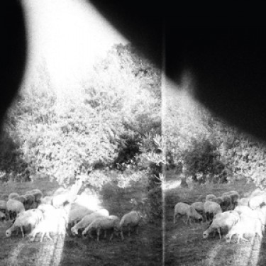 GODSPEED YOU! BLACK EMPEROR - ASUNDER, SWEET AND OTHER DISTRESS