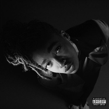 LITTLE SIMZ - GREY AREA