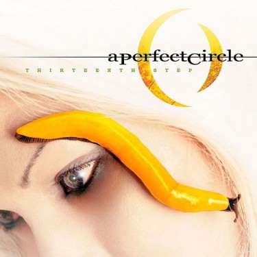 PERFECT CIRCLE - THIRTEENTH STEP