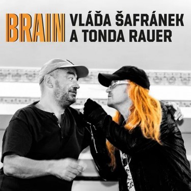 ŠAFRÁNEK VLÁĎA A RAUER TONDA - BRAIN