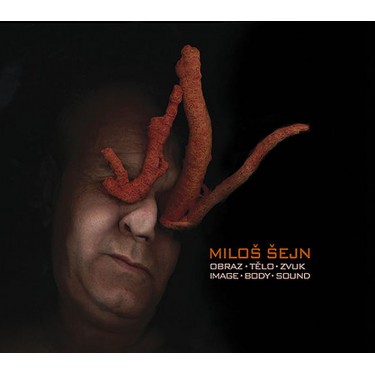 Šejn Miloš - Obraz - tělo- zvuk