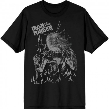 Iron Maiden Unisex T-Shirt: Est. 1975 Life After Death Flames (Black) (XX-Large)