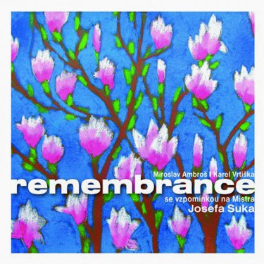 REMEMBRANCE - AMBROŠ/VRTIŠKA