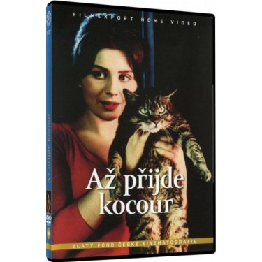 AŽ PŘIJDE KOCOUR - FILM